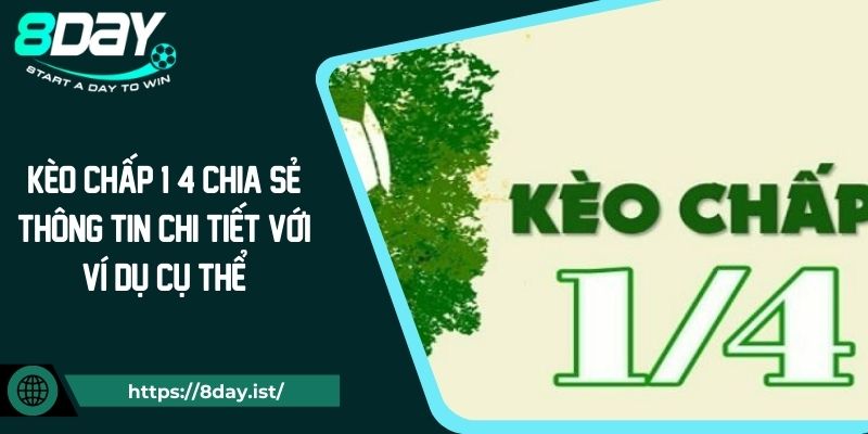 Kèo Chấp 1 4 Chia Sẻ Thông Tin Chi Tiết Với Ví Dụ Cụ Thể